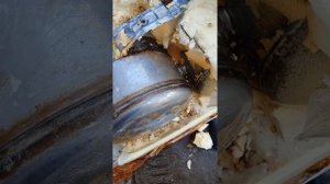 Течёт водонагреватель Electrolux с нержавеющим баком