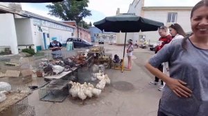 Птичий рынок в Энгельсе