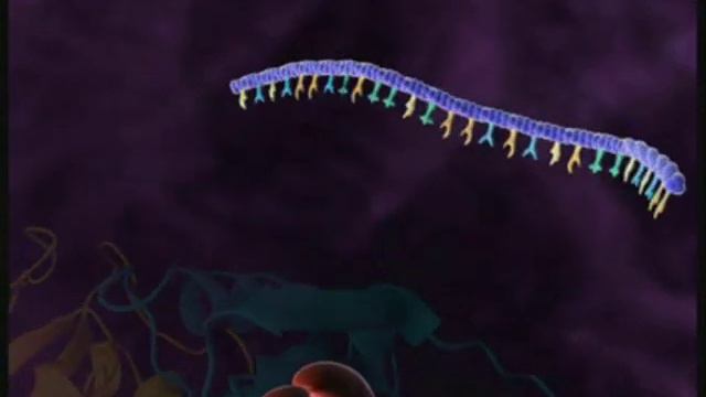 ВИЧ репликация смотреть онлайн