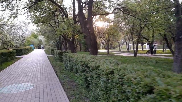 Зацвели яблони в Парке Ангарские Пруды. Красота сказочная. смотреть онлайн