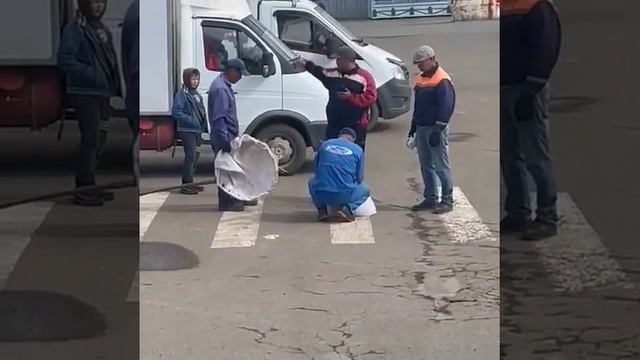 отловили собак в Уральске смотреть онлайн