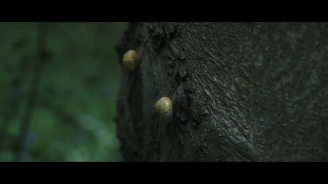 My Dad Gave Me His Camera - Canon 400D / Rebel XTi