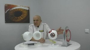 Тонкости оптической коррекции. Какие нужны очки? Близорукость