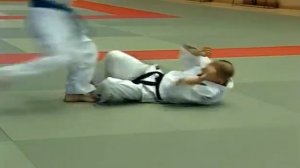 Джиу-Джитсу. С желтого по черный пояс