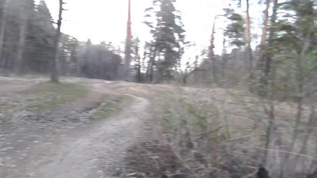 Сосновая роща весной и вечерняя Йошкар-Ола смотреть онлайн