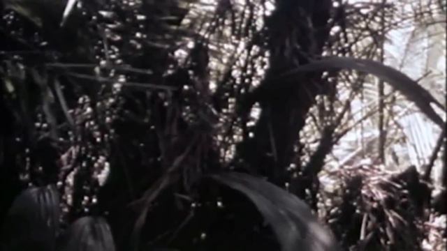 MACV-SOG: Vietnam War’s DEADLIEST Unit You’ve Never Heard Of смотреть онлайн