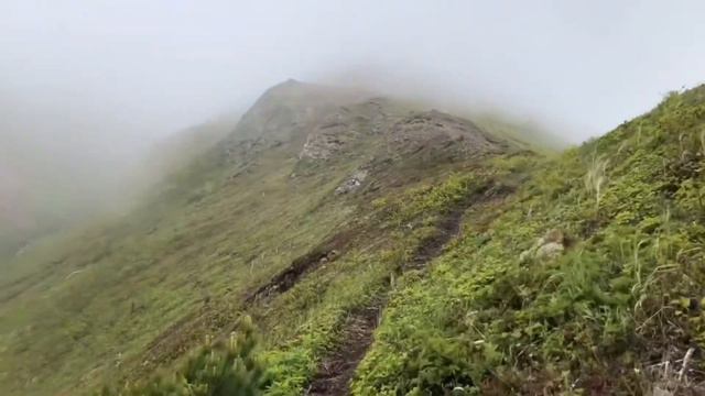 Жданко 2018 смотреть онлайн