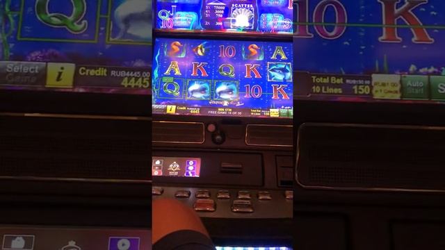 Ракушки по 150 в рублевый смотреть онлайн