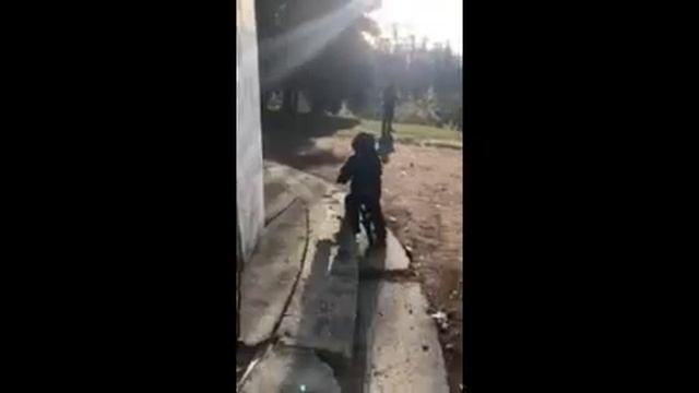 Встреча с младшим племяшкой, и кусь-кусь от лебедя без СМС и регистрации смотреть онлайн