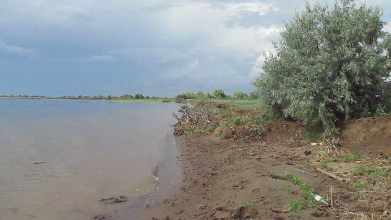 Берег Волги у старого места расположения Краснополья. Ровенский район.