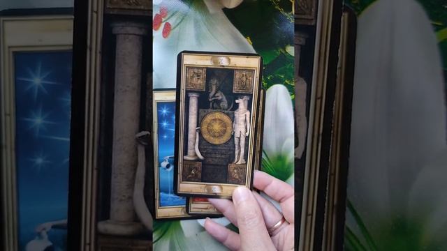 Таро онлайн.О чем он думает,мечтает...2021 смотреть онлайн