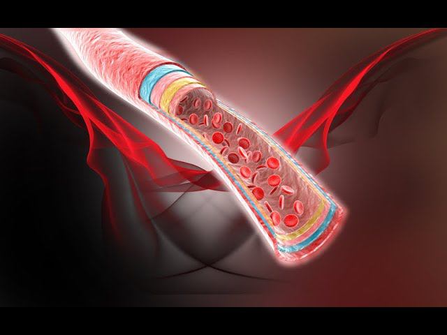 Отчетный видеофильм клип для клиники смотреть онлайн