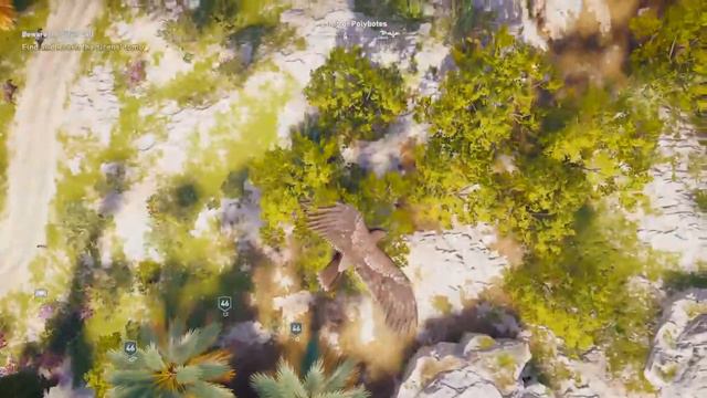 Assassin creed смотреть онлайн