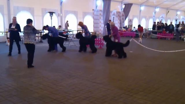 12.10.2014 СПб МОНО РЧТ сравнение на ЛПП смотреть онлайн