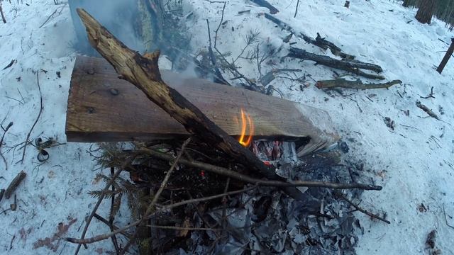 Велопокатушка в Шунгеровский лесопарк. Встреча с лошадьми, странные постройки в лесу, жгу костерчик смотреть онлайн