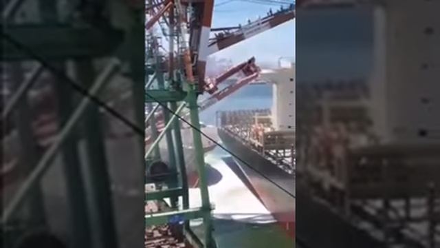 В порту тайваньского города Гаосюн рухнул портальный кран. смотреть онлайн