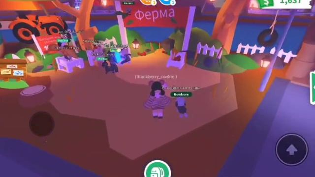 Новые петы уже в адопт ми!!FARM PETS+КОНКУРС НА РОБУКСЫ!! смотреть онлайн