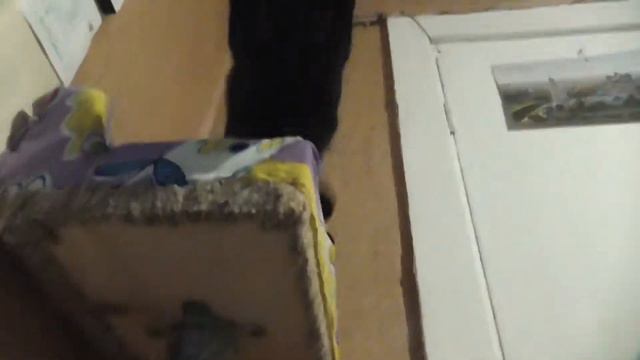 Все животные / И не только смотреть онлайн