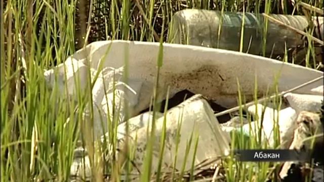 Болото вместо бесплатной земли смотреть онлайн