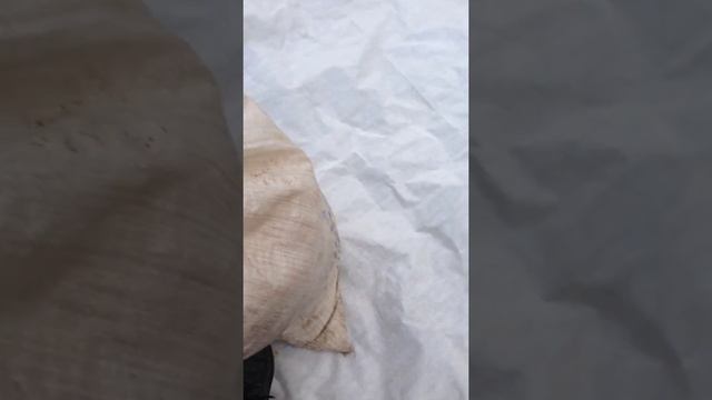 Стружка, будущий утеплитель. Тест. смотреть онлайн