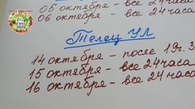 Квасим капусту в октябре 2019 года. Лучшие дни для приготовления витаминного вкусного блюда смотреть онлайн