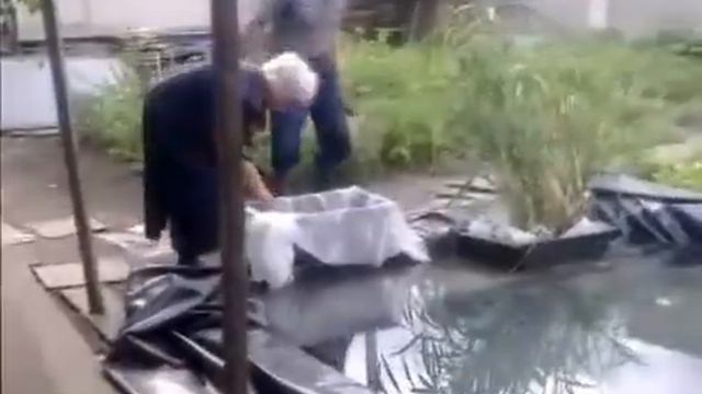 Прудик смотреть онлайн