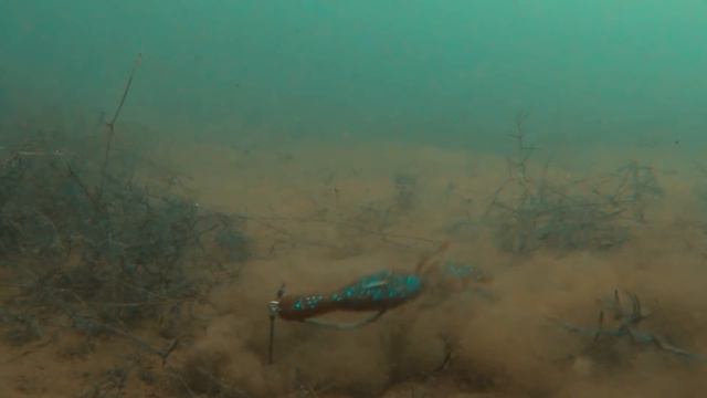 VMC® Tokyo Rig® - The Most Versatile Rig Ever