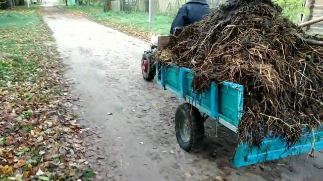 Цикл осенних работ на мотоблоке Мтз беларус  09Н