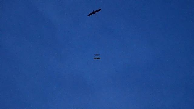 SHOTKAM Отзыв владельца