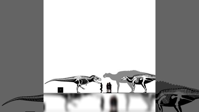 Tarbosaurus And Gryposaurus Size Comparison смотреть онлайн