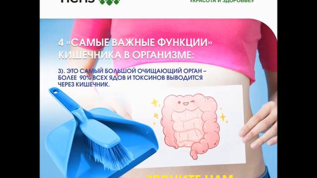 2.4 функции кишечника смотреть онлайн