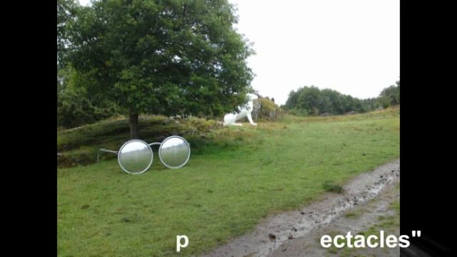 The Hare That Lost His Spectacles смотреть онлайн