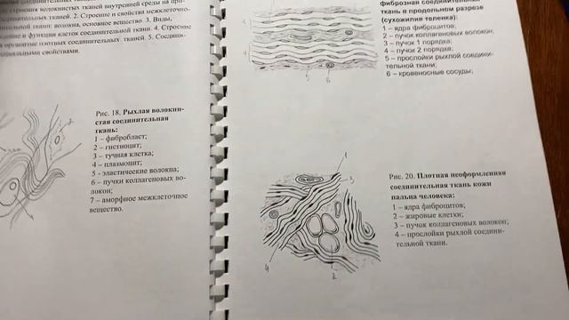 ?STUDY WITH ME | Разгребай долги по учебе вместе со мной 1часть | Мотивация на учебу| учись со мной смотреть онлайн