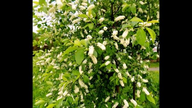 Карунеш. Начало дня.