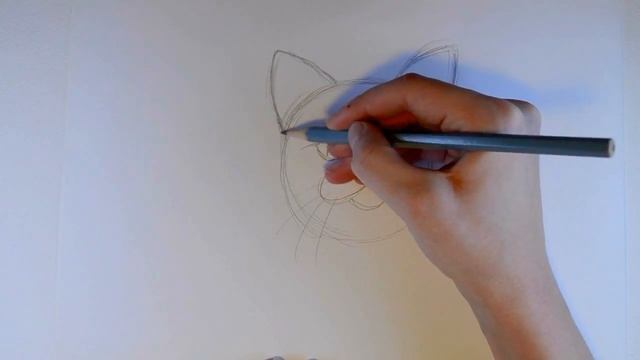Рисуем кошачью мордочку. Как нарисовать кошку смотреть онлайн