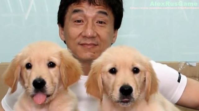 Биография и интересные факты про Джеки Чана смотреть онлайн