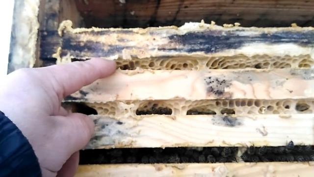 Зима: КАРНИКА Тройзек-07 смотреть онлайн