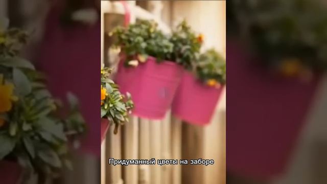 #сад #ландшафт #природа #искусство #алтай #АГУ смотреть онлайн