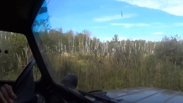 ПРИВЕТ ОТ ТРЕЛЕВОЧНИКА! ТРАКИ! ПРОБИРАЕМСЯ ЧЕРЕЗ ГЛУХОЙ ЛЕС НА УРОЧИЩЕ! СКОЛЬКО МОЖНО ЗАРАБОТАТЬ смотреть онлайн