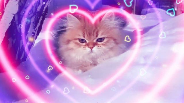 везение и белая полоса в жизни 🍀 смотреть онлайн