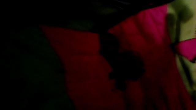 ?НАСРАЛ В КОЛЯСКУ ЧТОБЫ ЕЁ УБРАЛИ