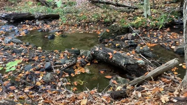 Mackenzie King Estate - English смотреть онлайн