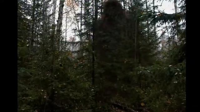 Сиреноголовый существует ! Я его видел. смотреть онлайн