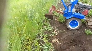 Окучиваем картошку мотоблоком//Кощеевский хуторок. #мотоблок #огород