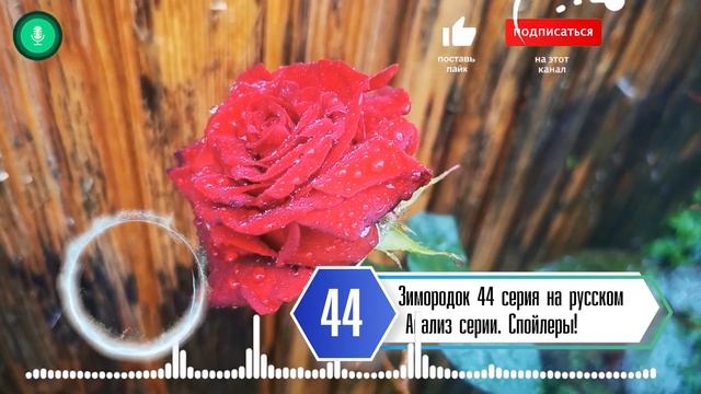 Зимородок 44 серия на русском языке| Анализ серии. Спойлеры! смотреть онлайн