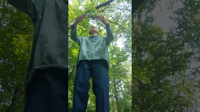 Занятие оздоровительным цигун от 14 июня 2020 г.