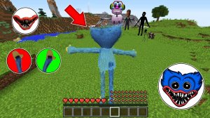 Как играть за НОВОГО ХАГГИ ВАГГИ в майнкрафт ? Превращения HUGGY WUGGY PROJECT PLAYTIME MINECRAFT