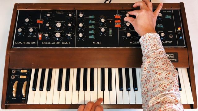 Moog Grandmother VS Minimoog : Insert Drum  Loop