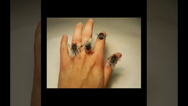 Прикольные и оригинальные кольца смотреть онлайн