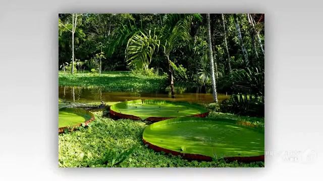 Чианг Май \ Фото \ Отели \ Путёвки \ Отдых\ Туры смотреть онлайн